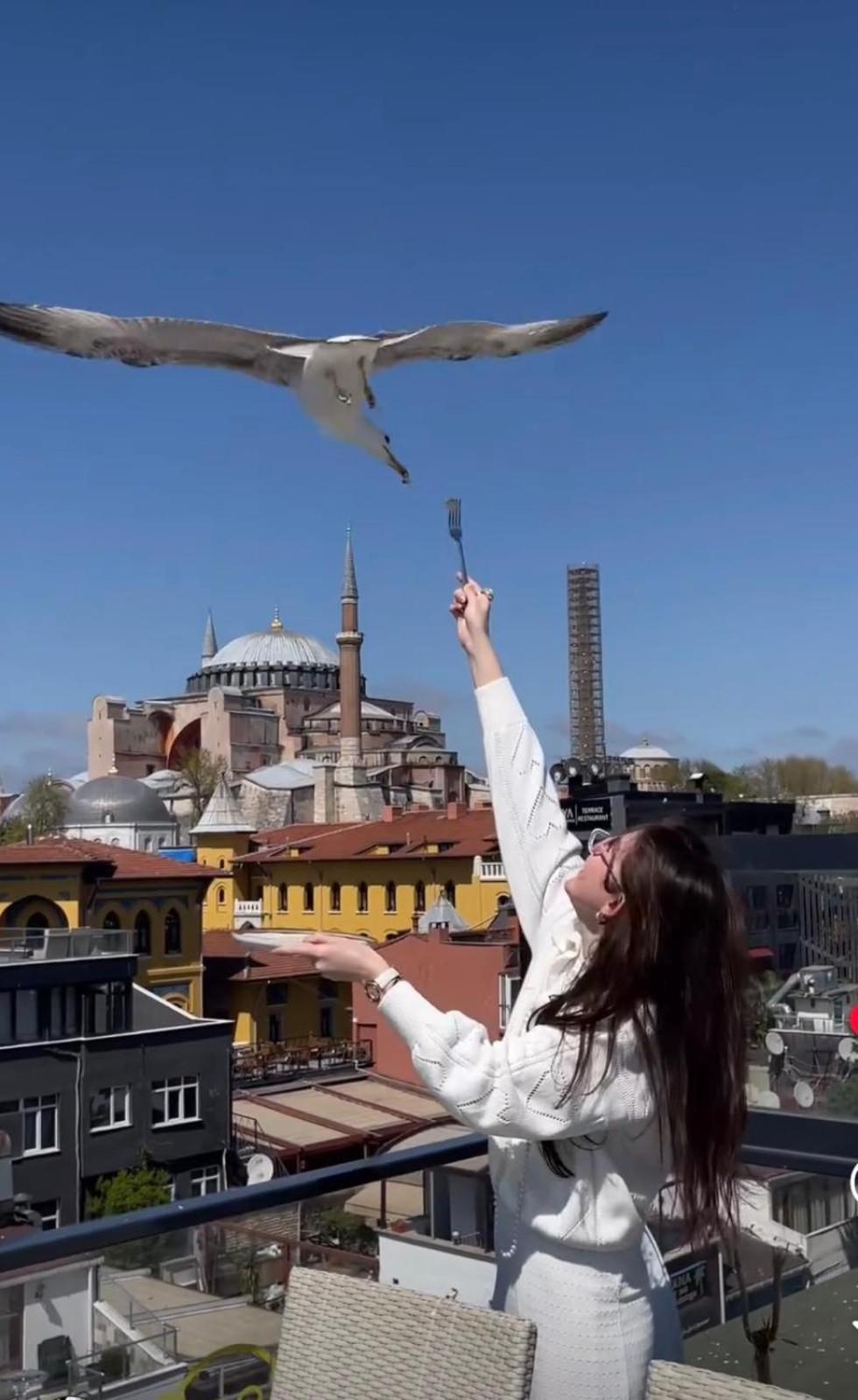 Byzantium Comfort Hotel Istanbul Exteriör bild